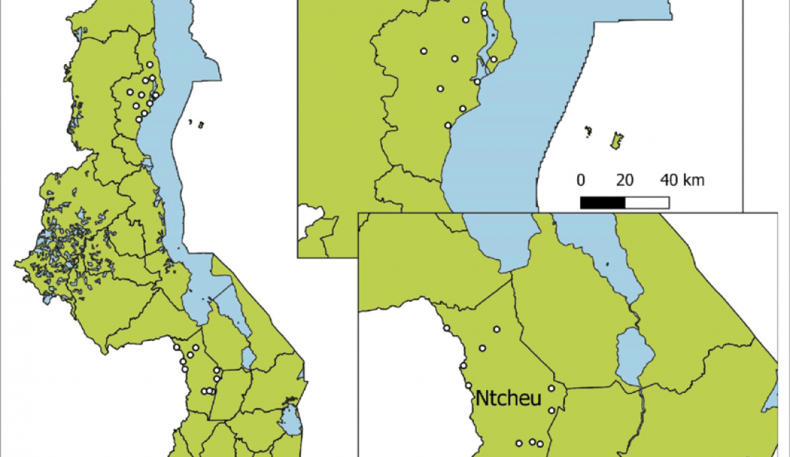 Malaria knowledge and experiences with community health workers among recently pregnant women in Malawi